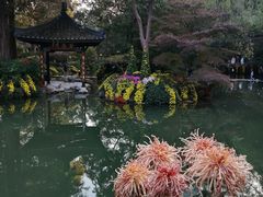 -杭州植物园