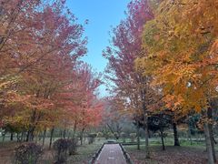 -黑龙江省森林植物园