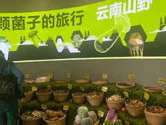 -花菇朵 ll 野生菌火锅·精品云南菜(后沙峪店)