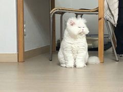 -南京禄口机场雅高铂尔曼大酒店