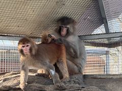 -北京市海淀外国语实验学校