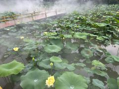 -广州莲花山旅游区