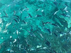 -蓝湾海滩