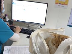 -佳雯宠物医院·皮肤科·内外科(春晓路分院)