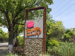 -前小桔亲子创意农场·草莓采摘·露营烧烤