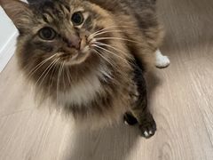 -树厨贵州菜(花果园购物中心店)