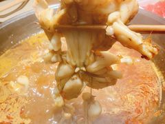 -老天桥蛙炉火锅(姑苏总店)