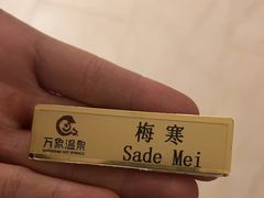 -万象温泉景区