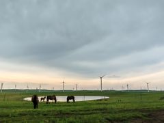 -蒙亨·手把肉·蒙古包文化主题餐厅(天恒广场店)