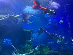 -多彩贵州城极地海洋世界