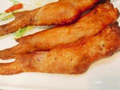 -塔可墨西哥餐厅(新城市广场店)