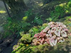 -Chom Cafe and Restaurant