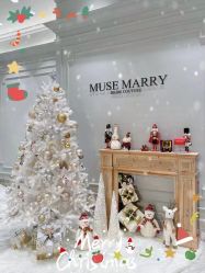 -MuseMarry婚纱(前海嘉里中心店)
