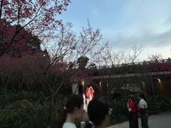 -牛岗山公园