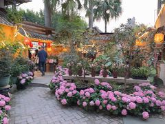 -园林美食城·本土农家菜(杨和镇店)