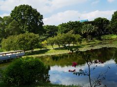 -东莞植物园