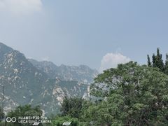 -凤凰岭蒙古包风味餐厅