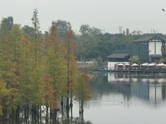 -白鹭湾湿地公园