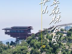 -少华山国家森林公园