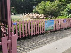 -广州长隆飞鸟乐园