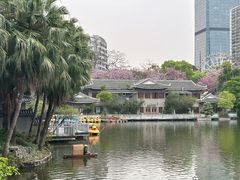 -柳侯公园