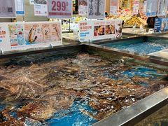 -盒马鲜生(丁香国际店)