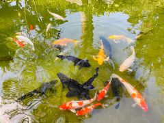 -三里河公园