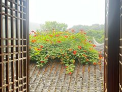 -东山雕花楼