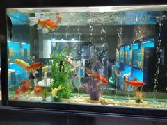 水产区-蓝鲸(国浩路店)