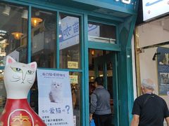 -猫咪博物馆(顶澳仔猫街店)