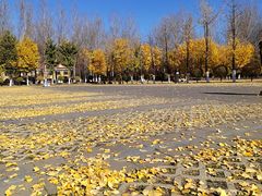 -沈阳市东陵公园