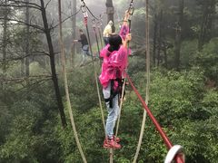 -梦幻奥陶纪景区