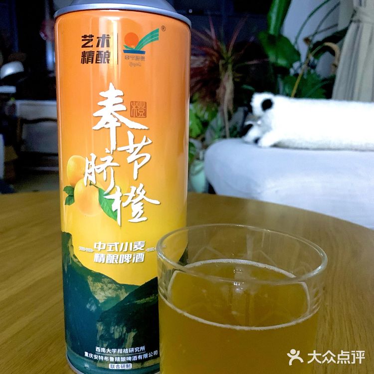 艺术精酿&奉节脐橙中式小麦精酿啤酒测评