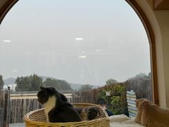 -小时光咖啡馆(开森度假森林店)