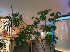 -桂满陇·杭州小馆(巴黎春天浦建店)