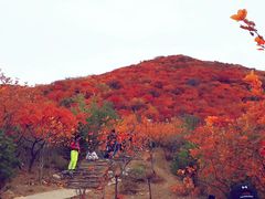 -周口店坡峰岭风景区