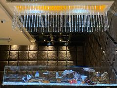 -红辣椒·川菜·火锅(张杨路店)