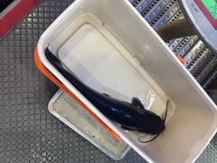 -鱼教头石泉老街石锅鱼(高新店)