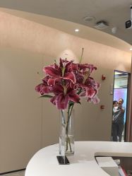 -深圳鹏爱秀琪医疗美容医院