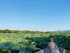 -苏堤停车场
