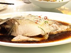 清蒸鲈鱼-万荣烤鸭店·北京菜(天坛店)
