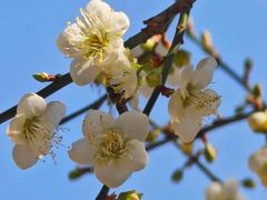 -桃花涧