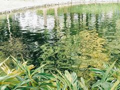 -晓港公园