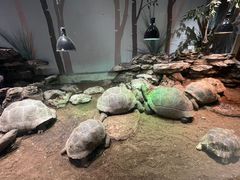 -杭州野生动物世界