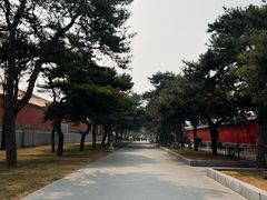 -故宫冰窖餐厅