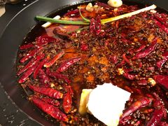 -黄潇洒老火锅(九眼桥宏济巷店)