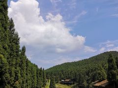 -武陵山森林公园