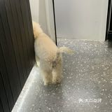 广州咖啡季｜隔壁工坊·初