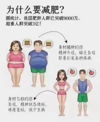 -香薇妮丝·定制减肥·身材管理