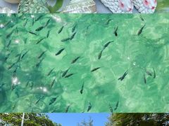 -三亚西岛海洋文化旅游区